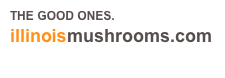 THE GOOD ONES.
illinoismushrooms.com