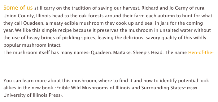 Some of us still carry on the tradition of saving our harvest. Richard and Jo Cerny of rural Union County, Illinois head to the oak forests around their farm each autumn to hunt for what they call Quadeen, a meaty edible mushroom they cook up and seal in jars for the coming year. We like this simple recipe because it preserves the mushroom in unsalted water without the use of heavy brines of pickling spices, leaving the delicious, savory quality of this wildly popular mushroom intact.
The mushroom itself has many names: Quadeen. Maitake. Sheep’s Head. The name Hen-of-the-Woods is the most common name used in Illinois, although its official scientific name is Grifola frondosa.

You can learn more about this mushroom, where to find it and how to identify potential look-alikes in the new book “Edible Wild Mushrooms of Illinois and Surrounding States” (2009 University of Illinois Press).  