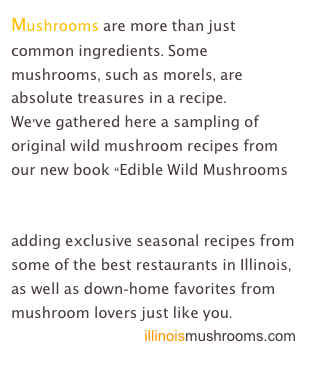 Mushrooms are more than just common ingredients. Some mushrooms, such as morels, are absolute treasures in a recipe. 
We’ve gathered here a sampling of original wild mushroom recipes from our new book “Edible Wild Mushrooms of Illinois and Surrounding States” (2009 University of Illinois Press). PLUS we’ll be adding exclusive seasonal recipes from some of the best restaurants in Illinois, as well as down-home favorites from mushroom lovers just like you.      
                                illinoismushrooms.com