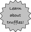 Learn about truffles!