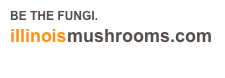 BE THE FUNGI.
illinoismushrooms.com